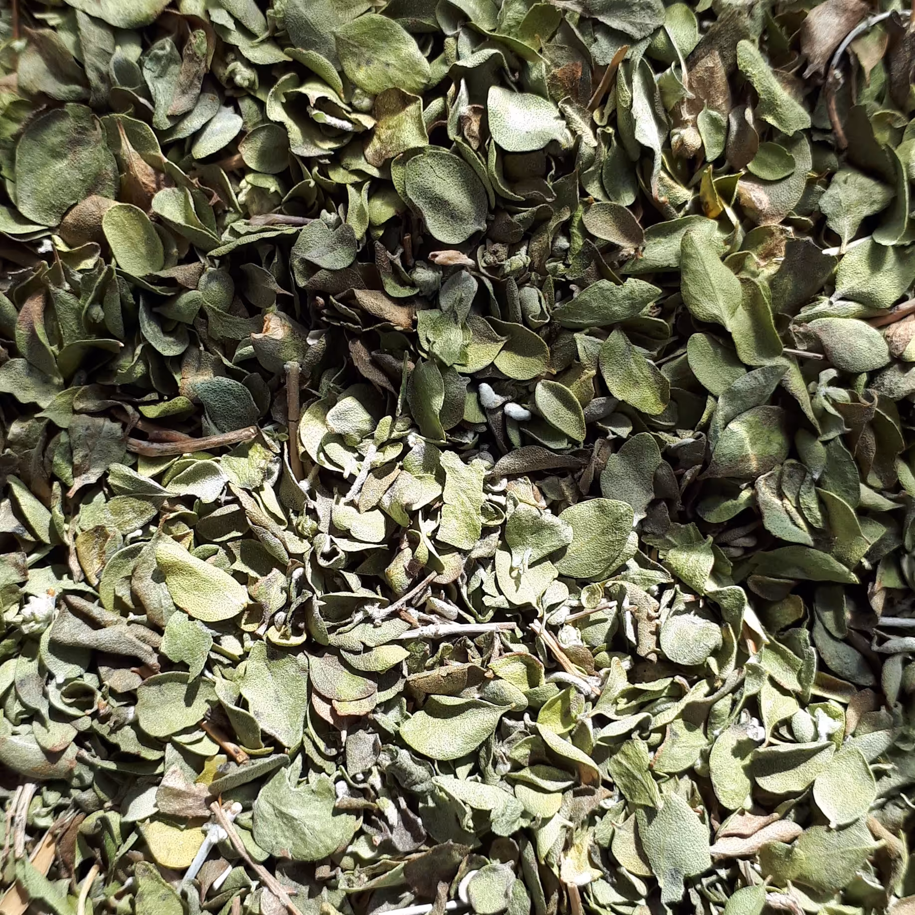 آویشن 250 گرم 