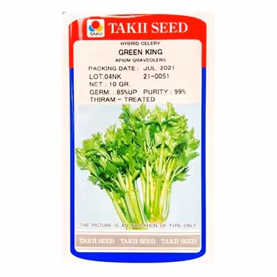 بذر کرفس هیبرید گرین کینگ تاکی ژاپن