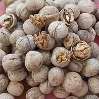 گردو در سایز های معمولی و متوسط 10 کیلو 