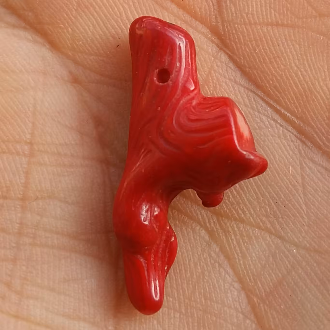 مرجان سرخ سوراخ دار مناسب آویز شاهکار خلقت بی نظیییر دو طرفه دیدنی