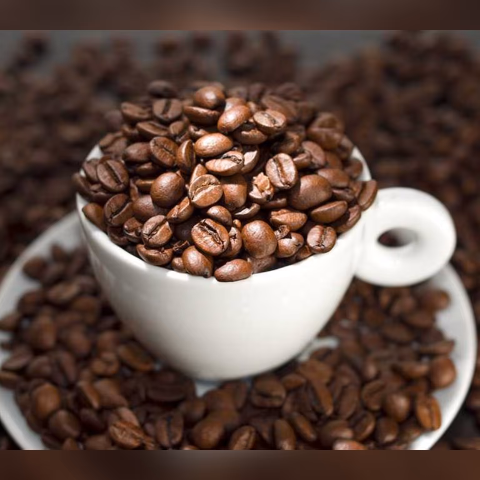 قهوه فوری استویا (پودر قهوه همراه با کرم) 