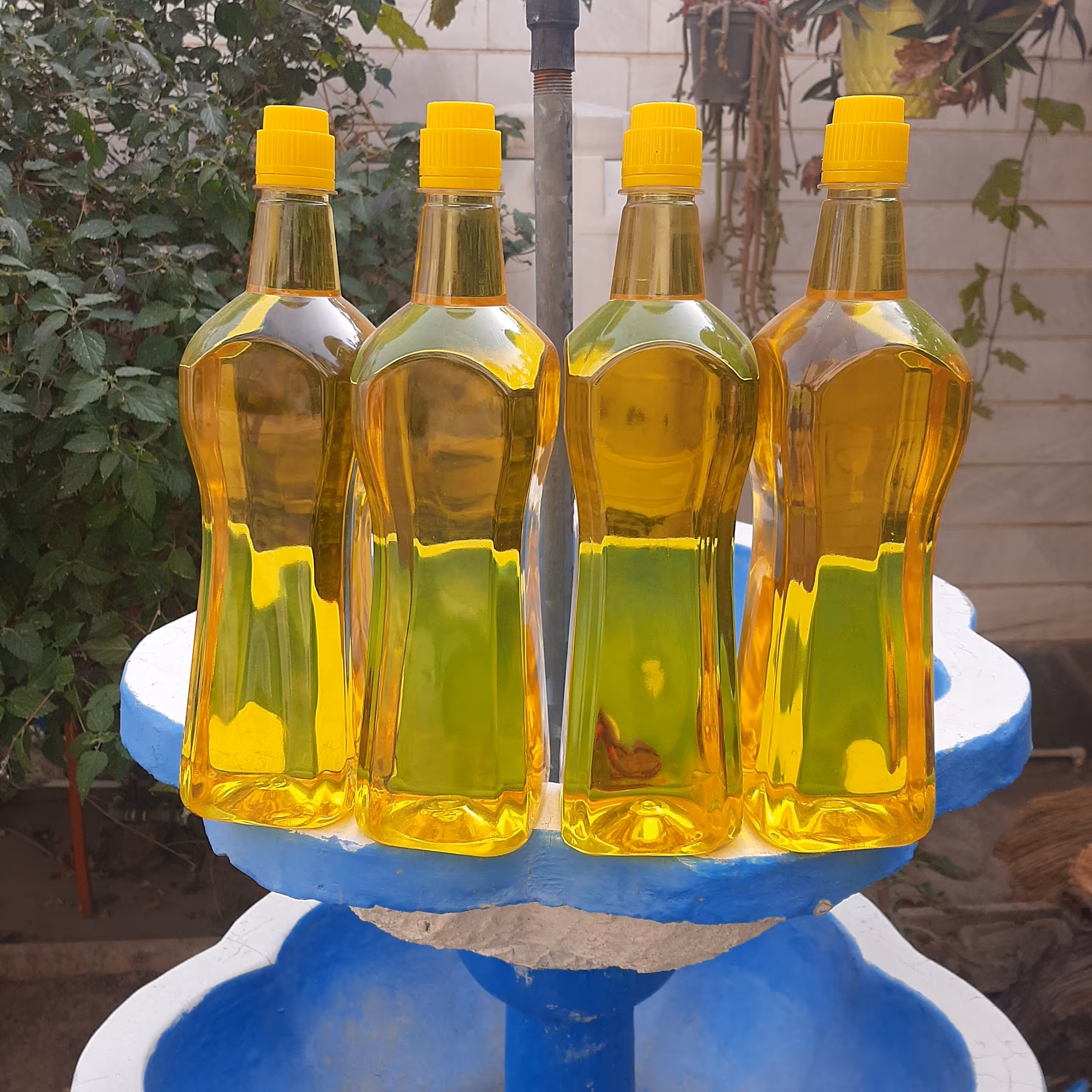 روغن ارده کنجد دوآتیشه خاص و فوق العاده (900گرم)