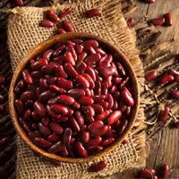 لوبیا قرمز 700 گرمی شیراز