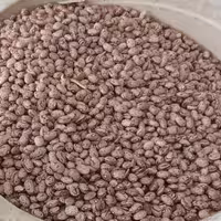 لوبیا چیتی محلی سوپر ممتاز  کیلو 85