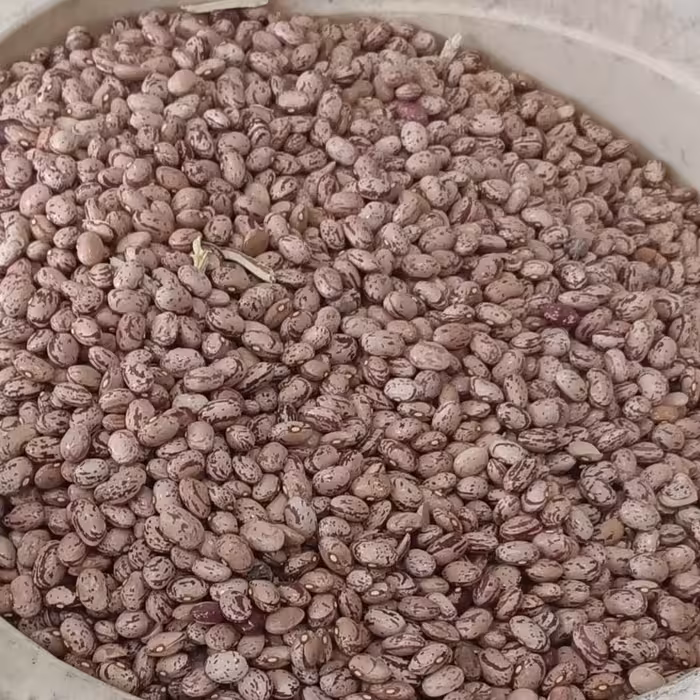 لوبیا چیتی محلی سوپر ممتاز  کیلو 85