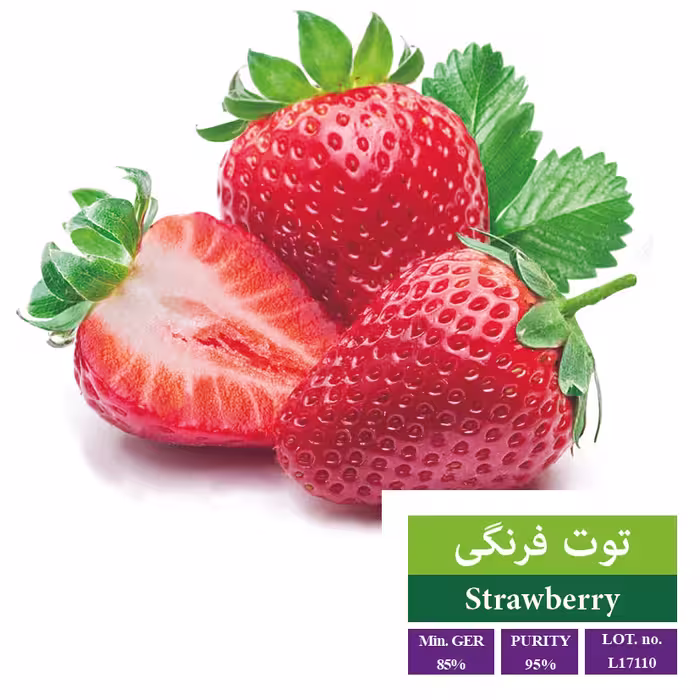 بذر توت فرنگی - بذر طلایی رویان