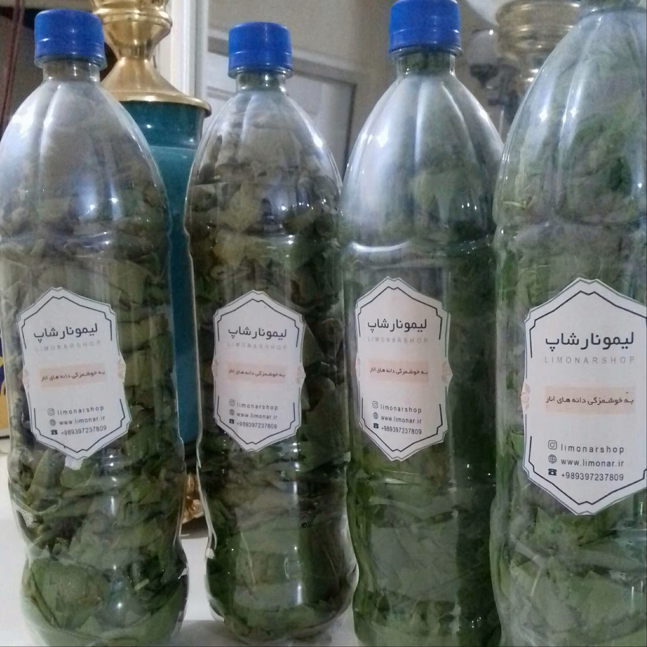 برگ مو(کشمش)