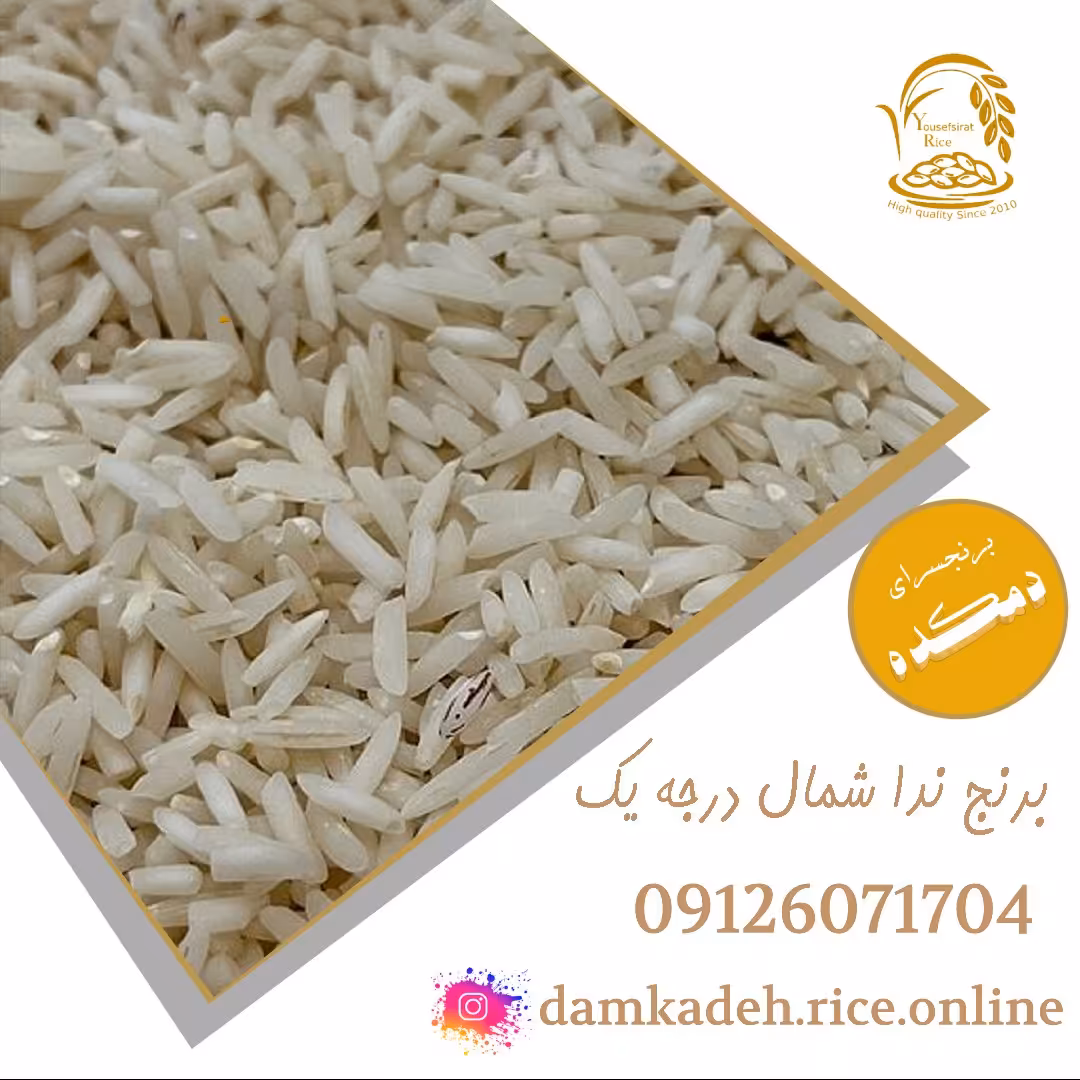 برنج ندا شمال خالص و خوش پخت ویژه دمکده 20 کیلویی ارسال رایگان به سراسر ایران