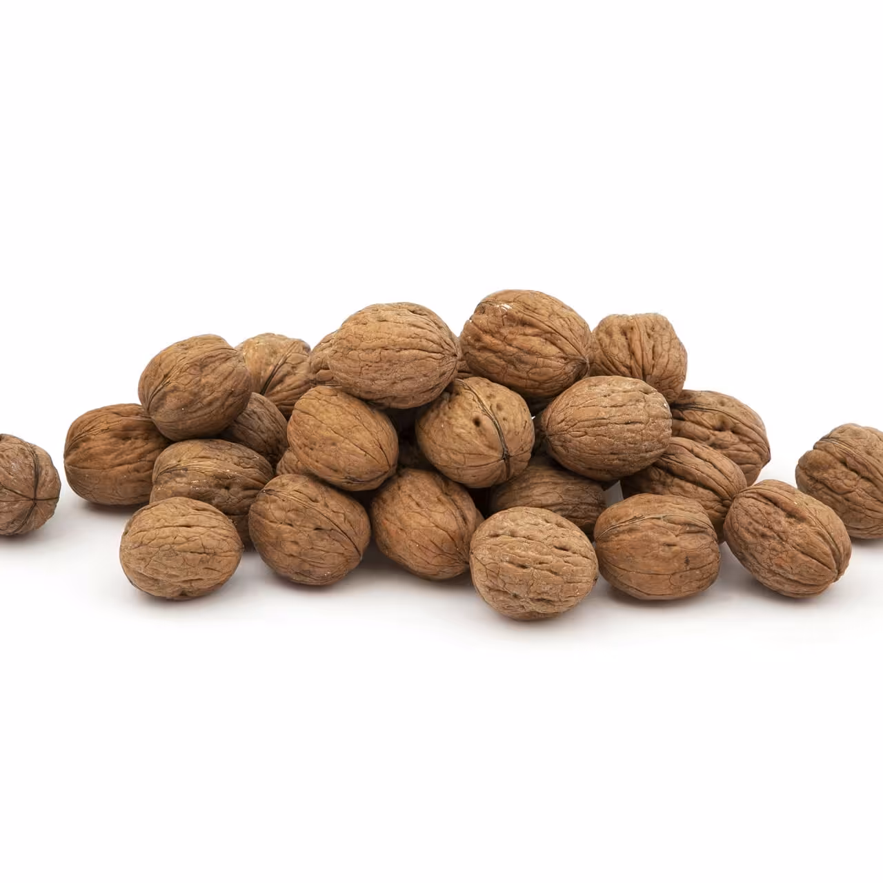 گردوی پوست کاغذی خراسان