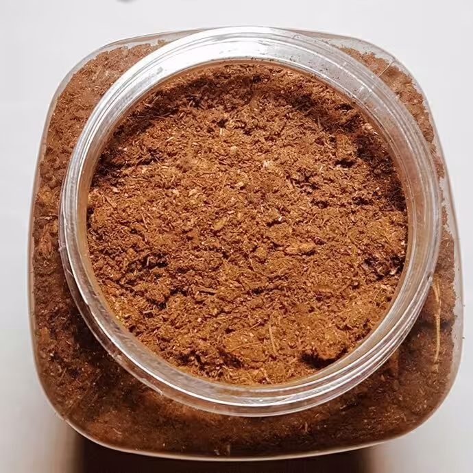 پودر خالص قارچ گانودرما 100گرمی