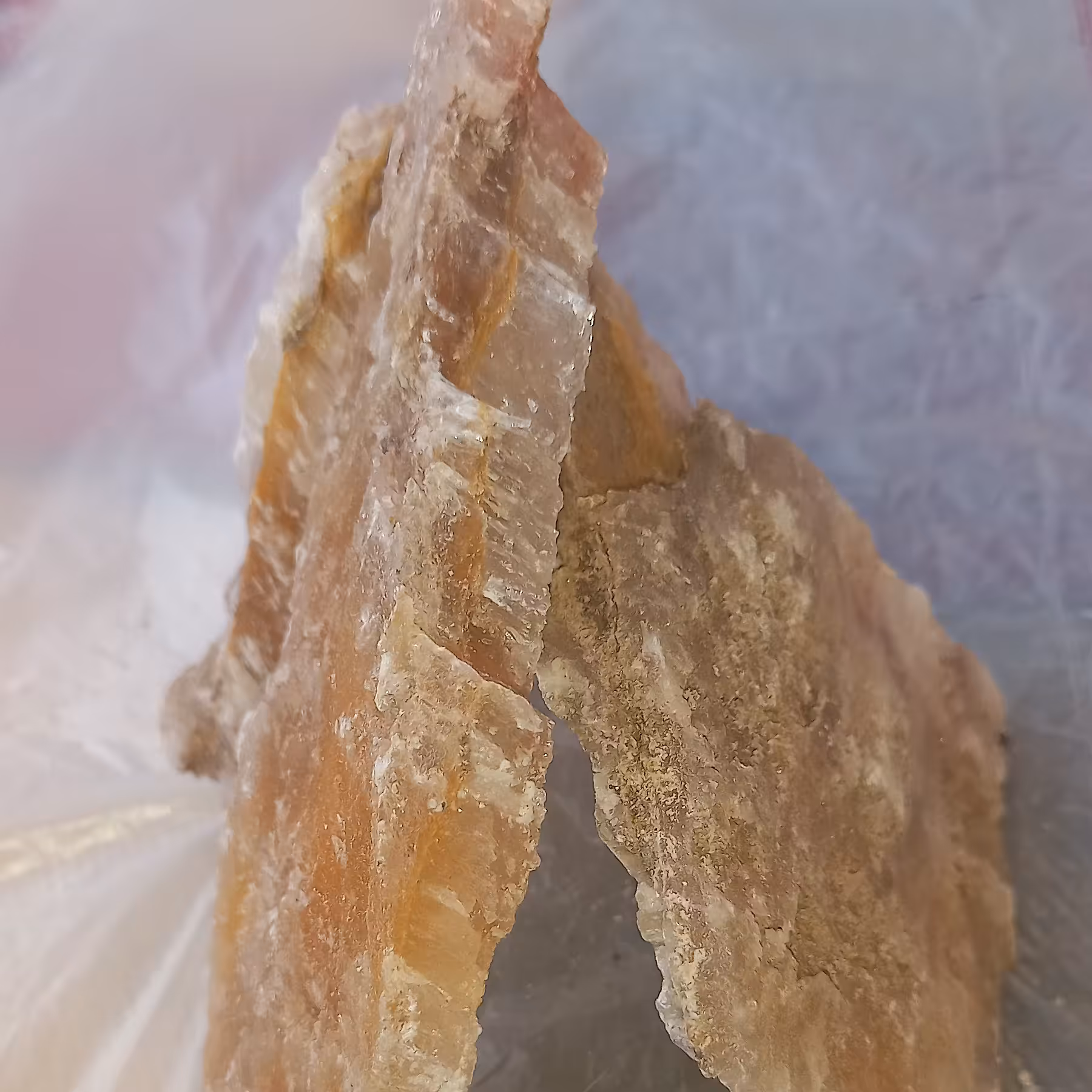 ژیپس