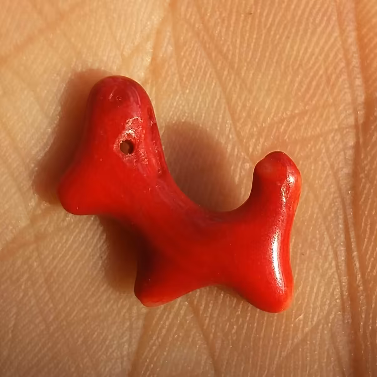 مرجان سرخ سوراخ دار مصور مناسب آویز شاهکار خلقت بی نظیییر تصویر از دو طرف نمونه تک و خاص