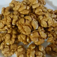 مغز گردو درجه یک الموت 250 گرمی