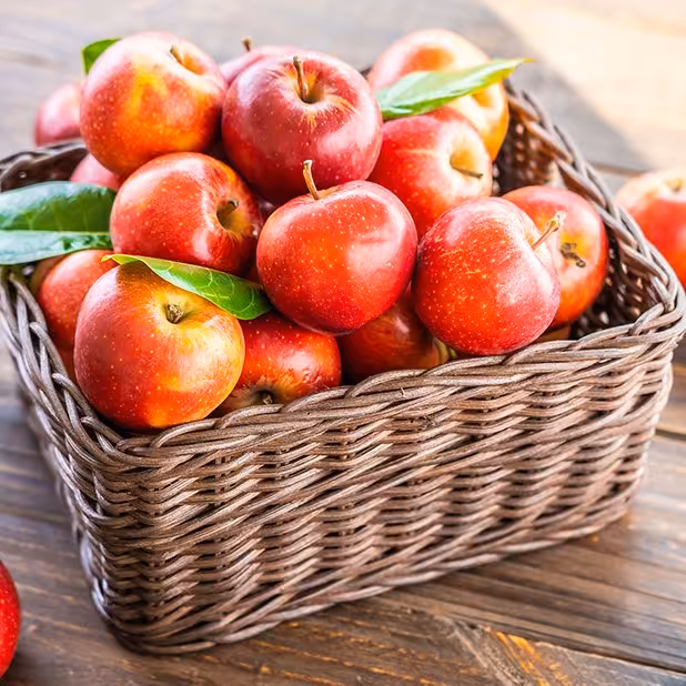 عطر فواکه سیب در حجم اسپری 5.5 میل ممتاز یا 4 میل خالص رولی (اسانس خالص فواکه سیب) 