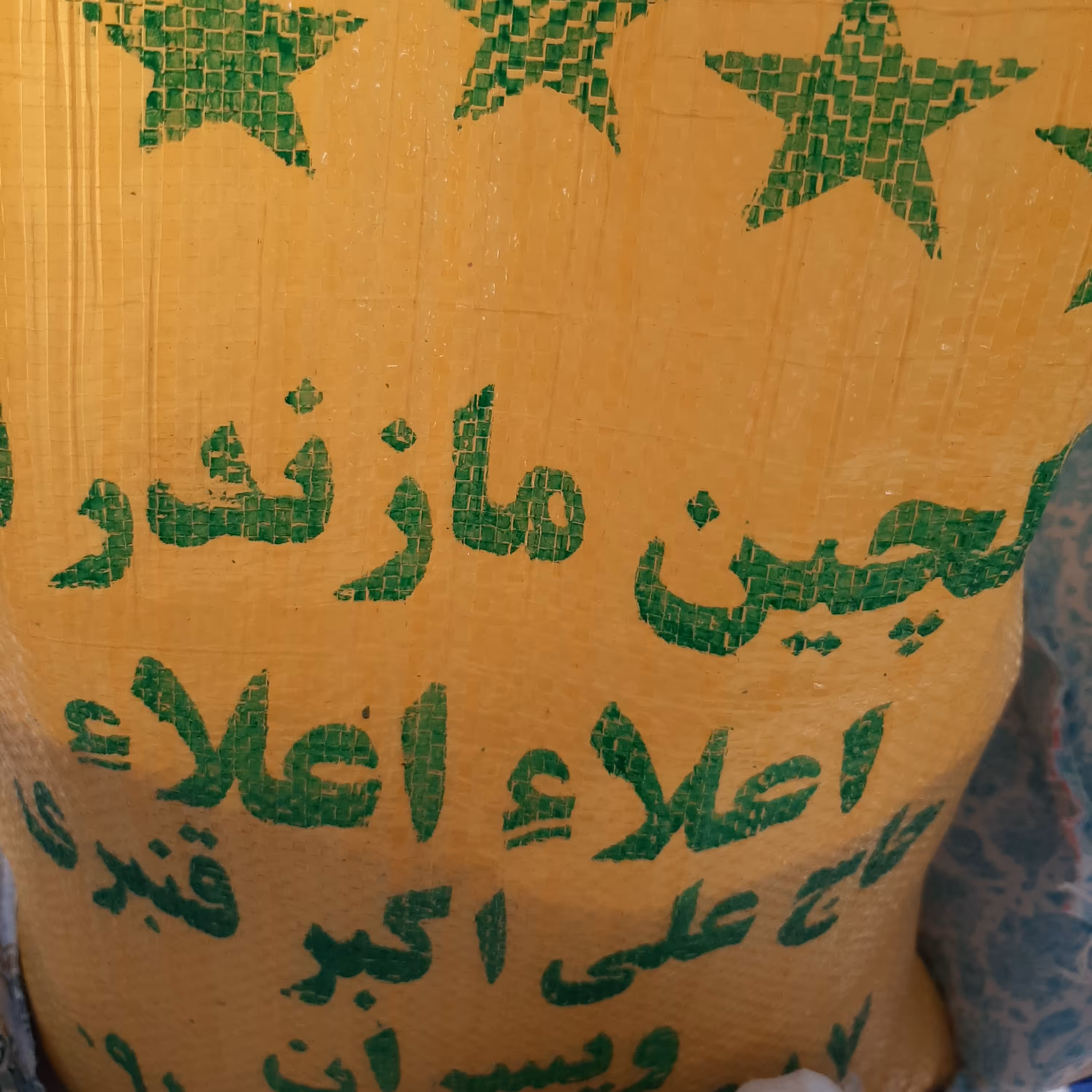 برنج سرلاشه مازندران