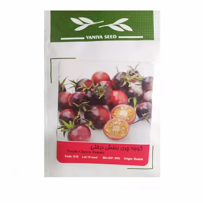 بذر گوجه چری بنفش درختی