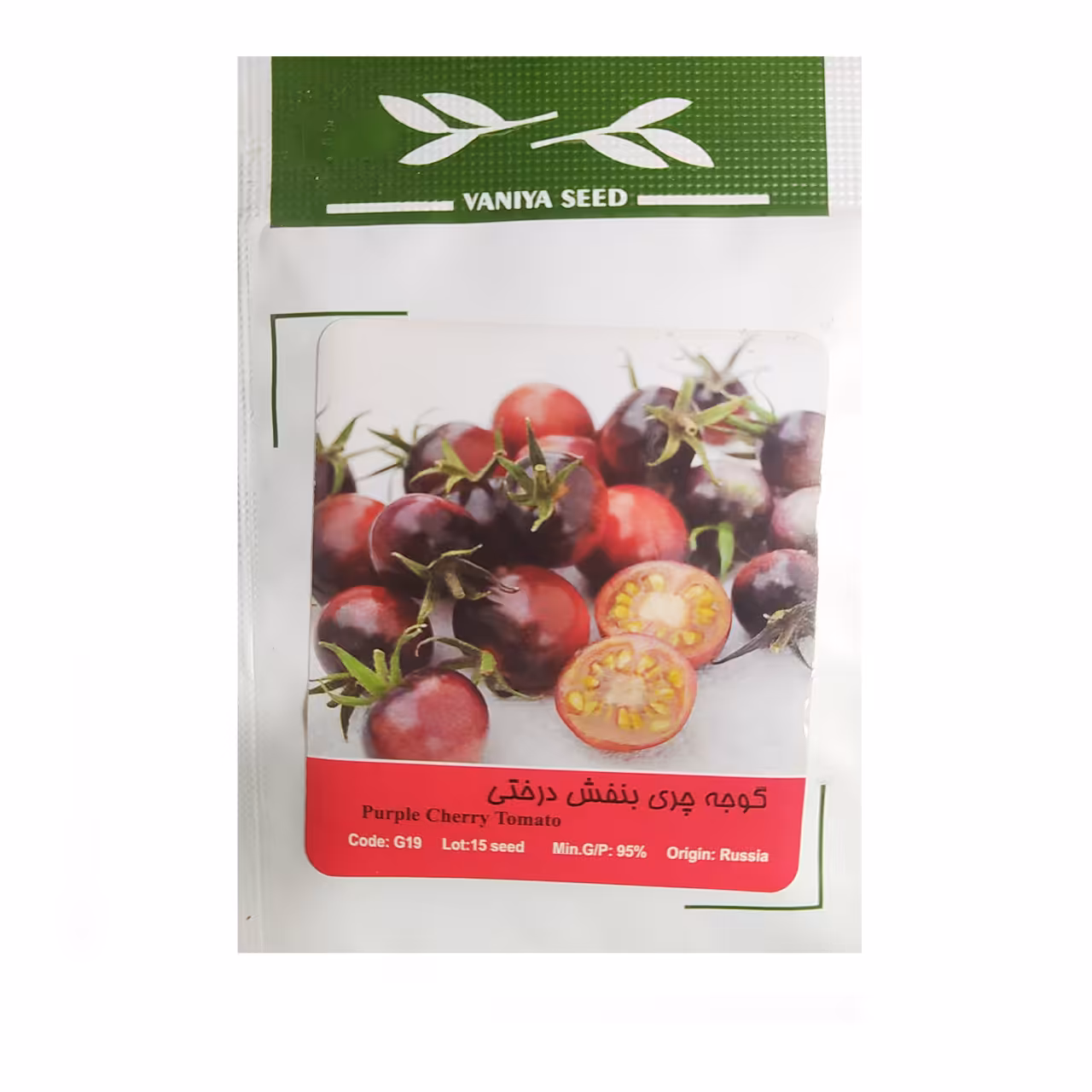 بذر گوجه چری بنفش درختی