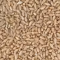 گندم اعلا ارسنجان فارس (چهار کیلویی) جهت پخت نان 