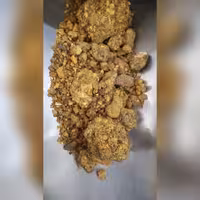 آنغوزه خوراکی 50 گرم 