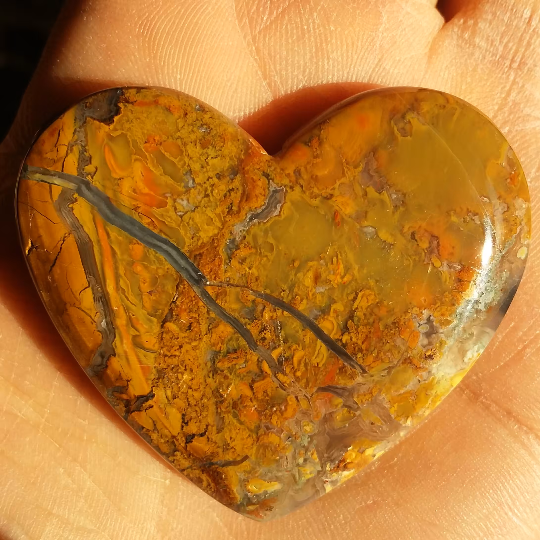 نگین شجر پاییزه تراش قلب شاهکار خلقت خوش رنگ و بسیار دیدنی دو طرفه