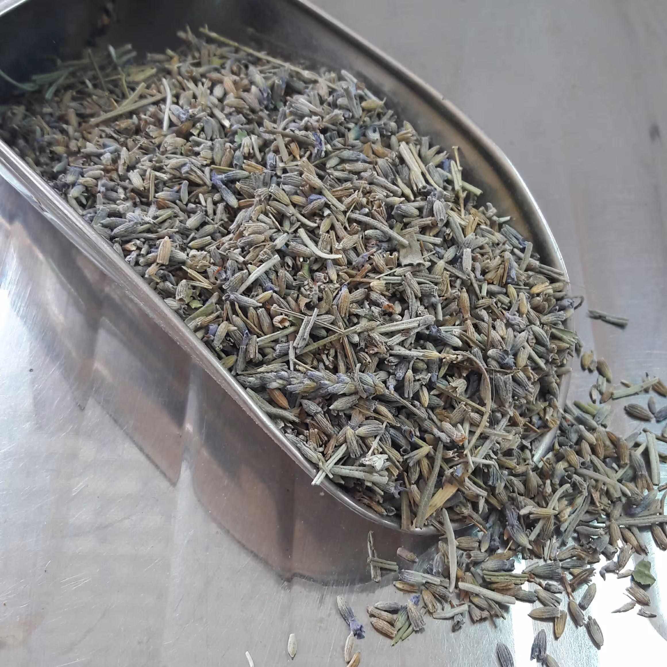 اسطوخودوس فرانسوی یک کیلویی