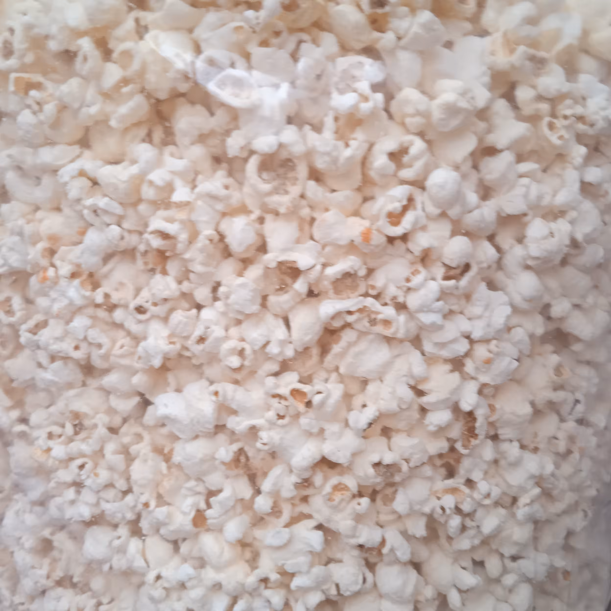 پفیلای نمکی 