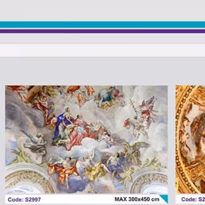 سقف کشسان(باریسول) پرینتی کدS2997