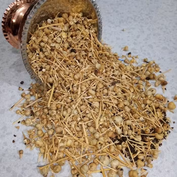 500 گرم اسپند اسفند نخودی  با پوست و چوب خود اسفند 