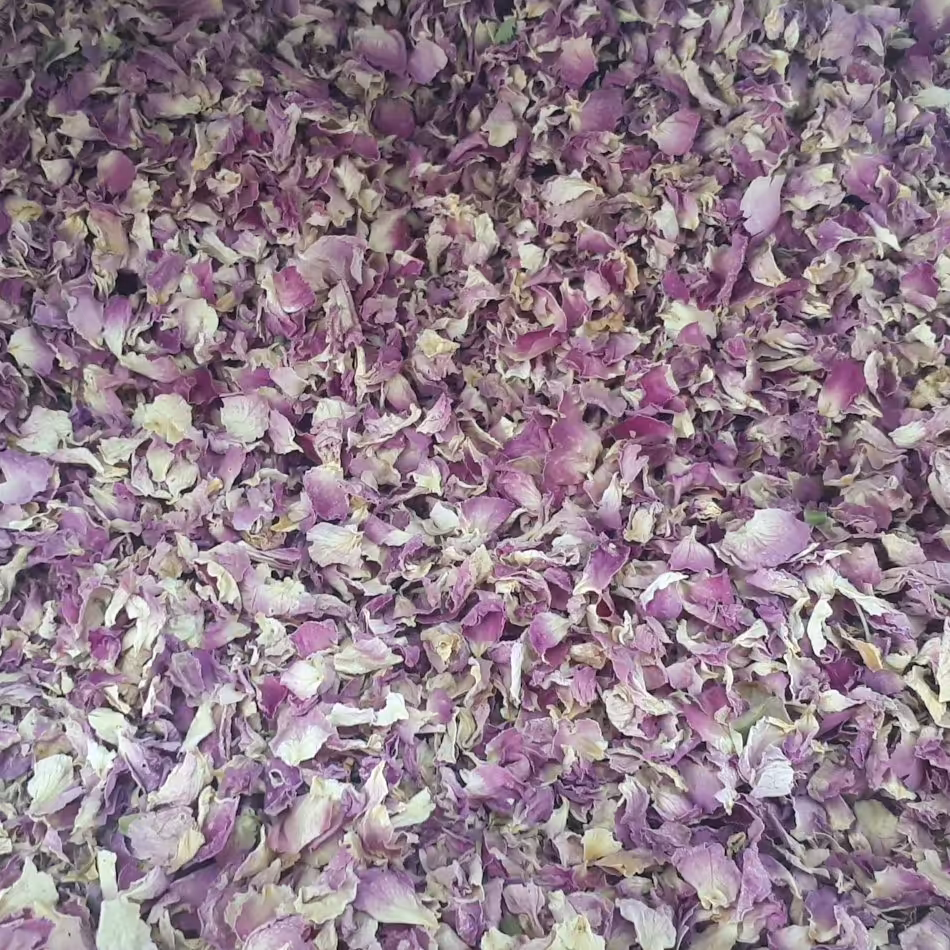 گل محمدی(مربائی)امساله تمیز،با عطری دلنشین دربسته های 100 تا 500 گرمی و 1 کیلویی