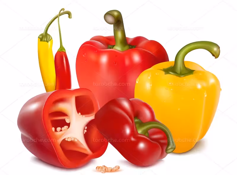 وکتور فلفل دلمه ای | گرافیک با طعم تربچه