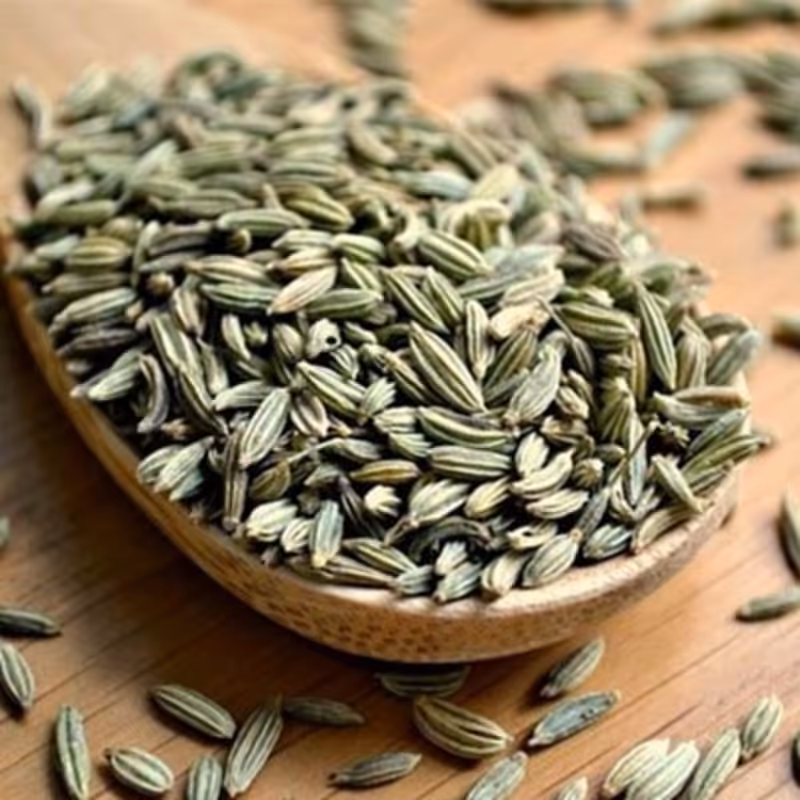 رازیانه تازه خشک درجه یک بسته 100 گرمی