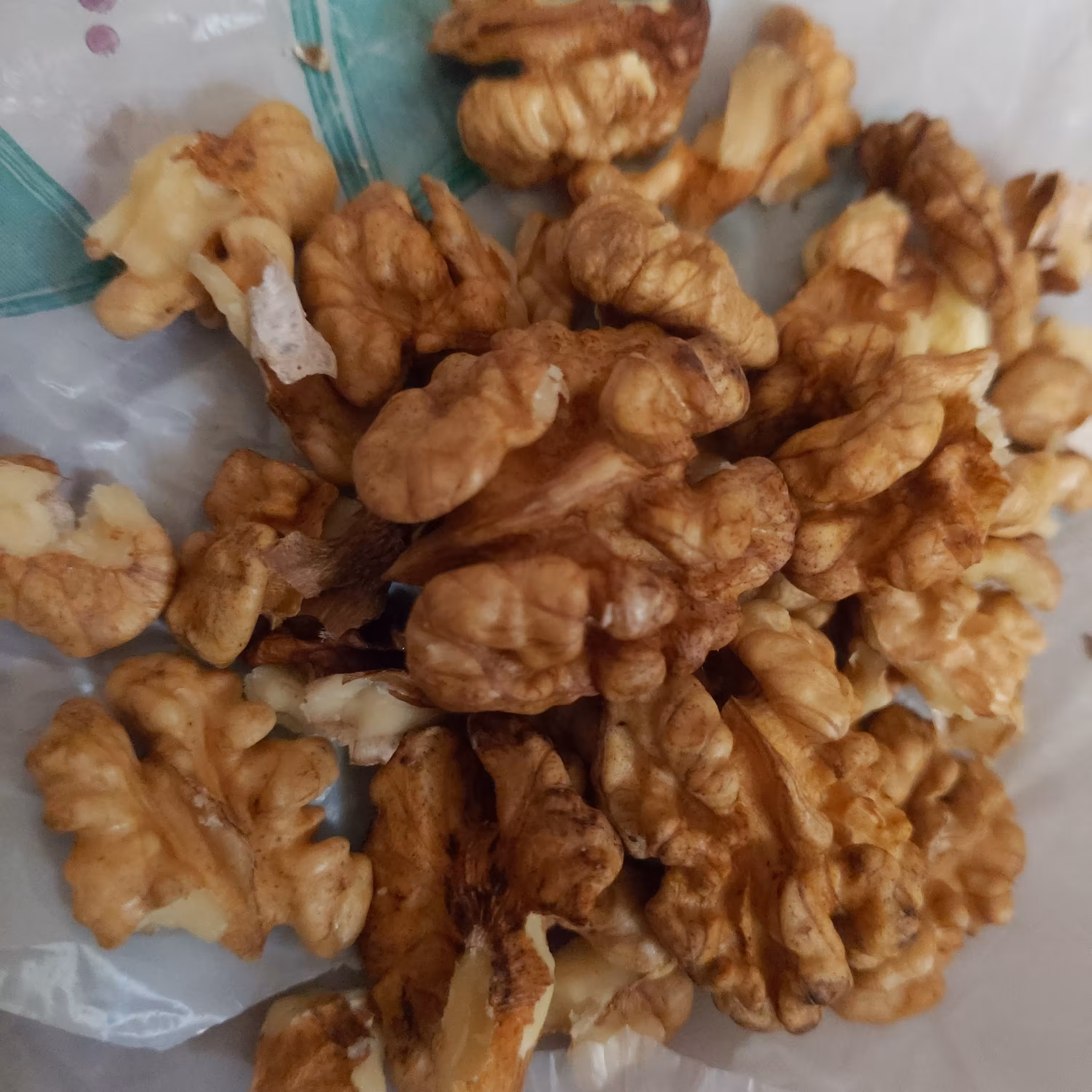 گردو تازه بجنورد چرب و خوشمزه 