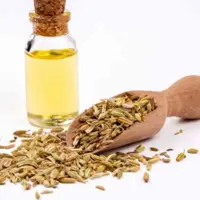 روغن رازیانه30 سی سی محصولات طبیعی زیتون