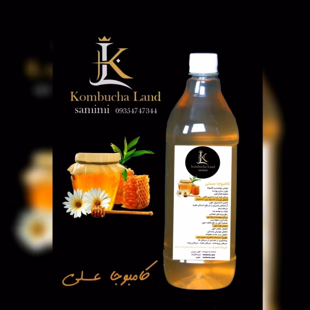 شربت کامبوجا با طعم عسل 1200گرمی