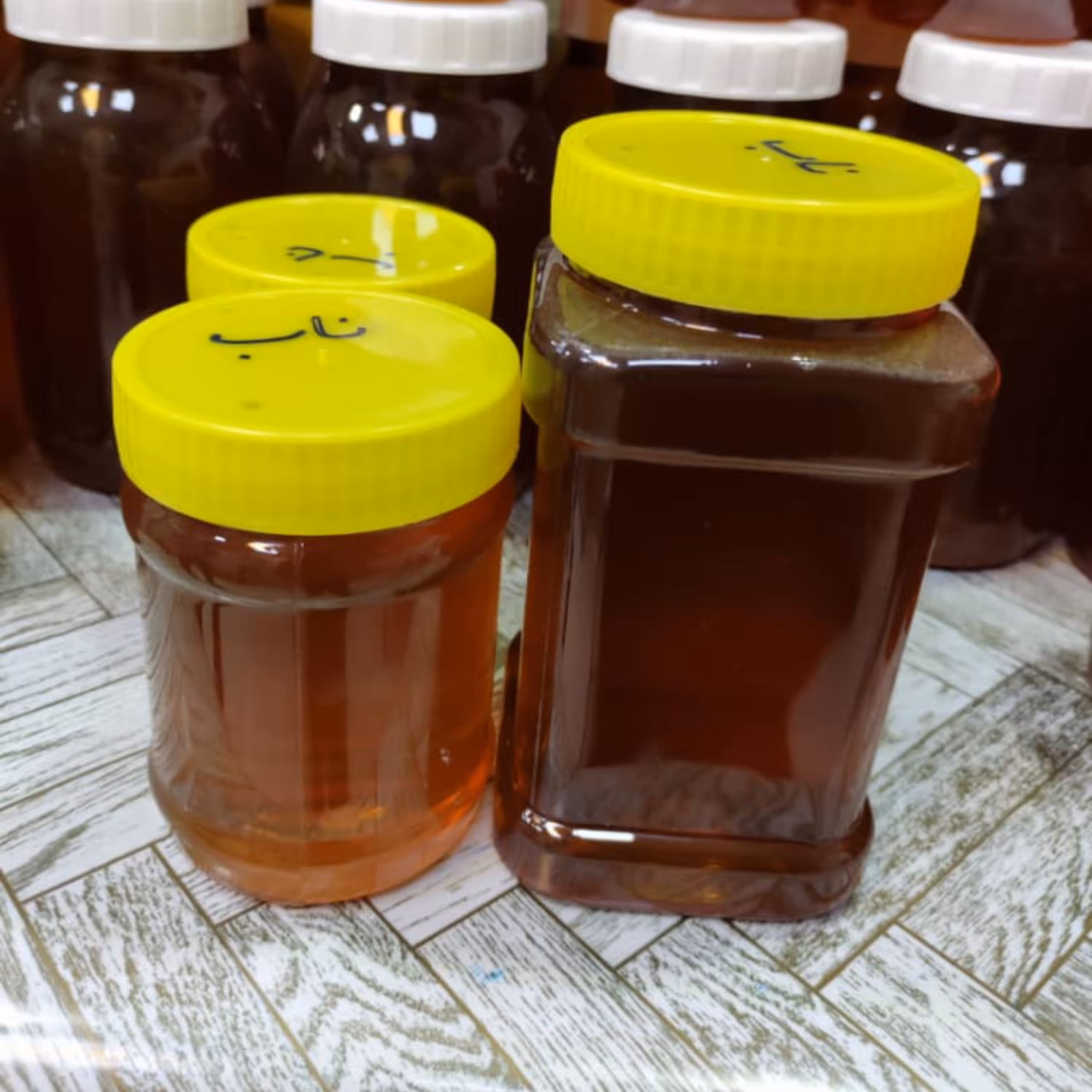 عسل نیم کیلویی اویشن