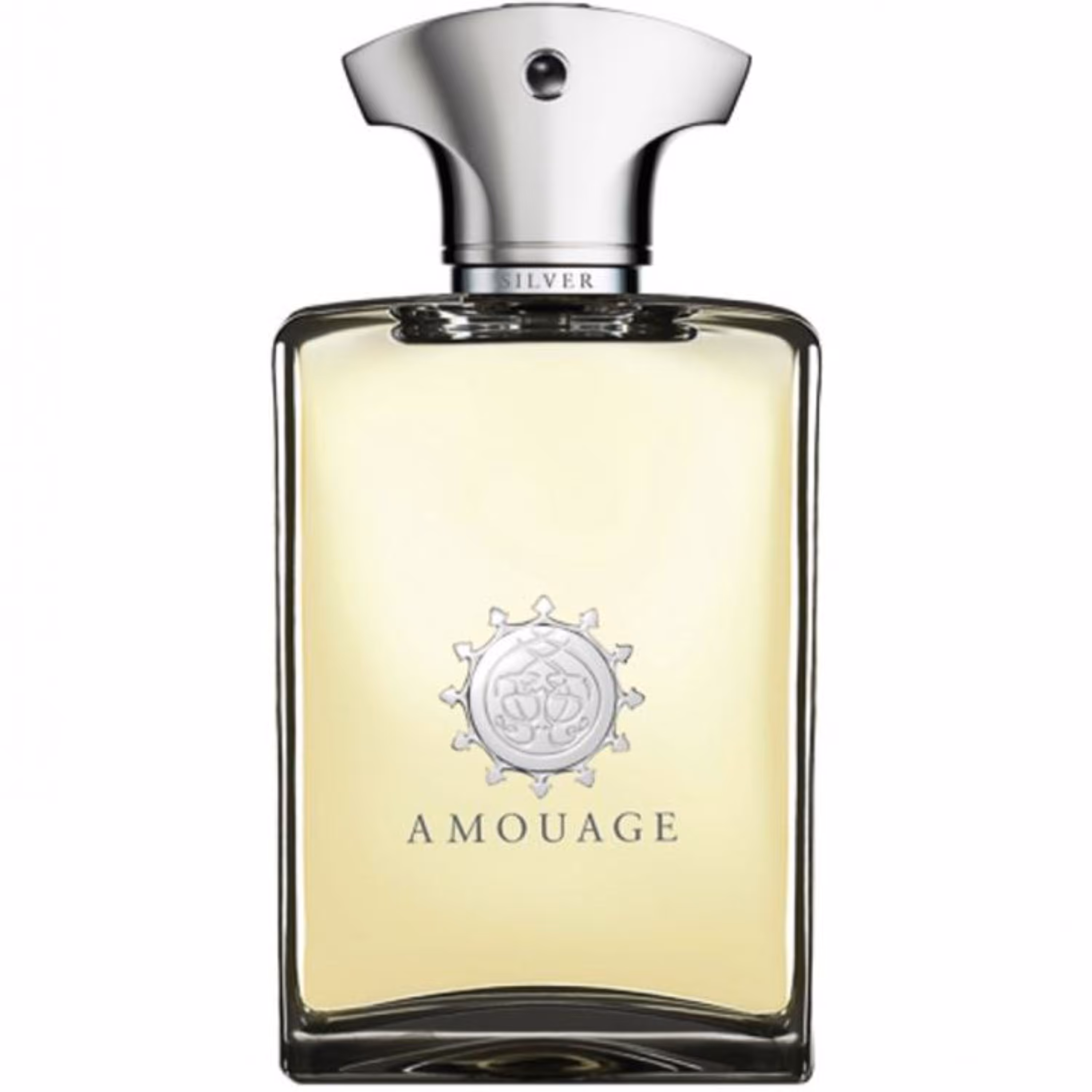 تستر تقویتی ادوپرفیوم مردانه آمواژ رفلکشن مدل Reflection حجم 100 میلی لیتر