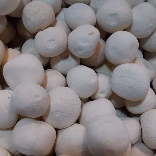 کشک گرد محلی و اعلاء از شیر تازه ی گاو (500 گرمی)