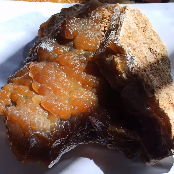 بزرگ ترین راف عقیق تاولی عسلی گوهر سنگ بزرگ راف عقیق تاولی عقیق عسلی عقیق بوتروئیدال Botryoidal 