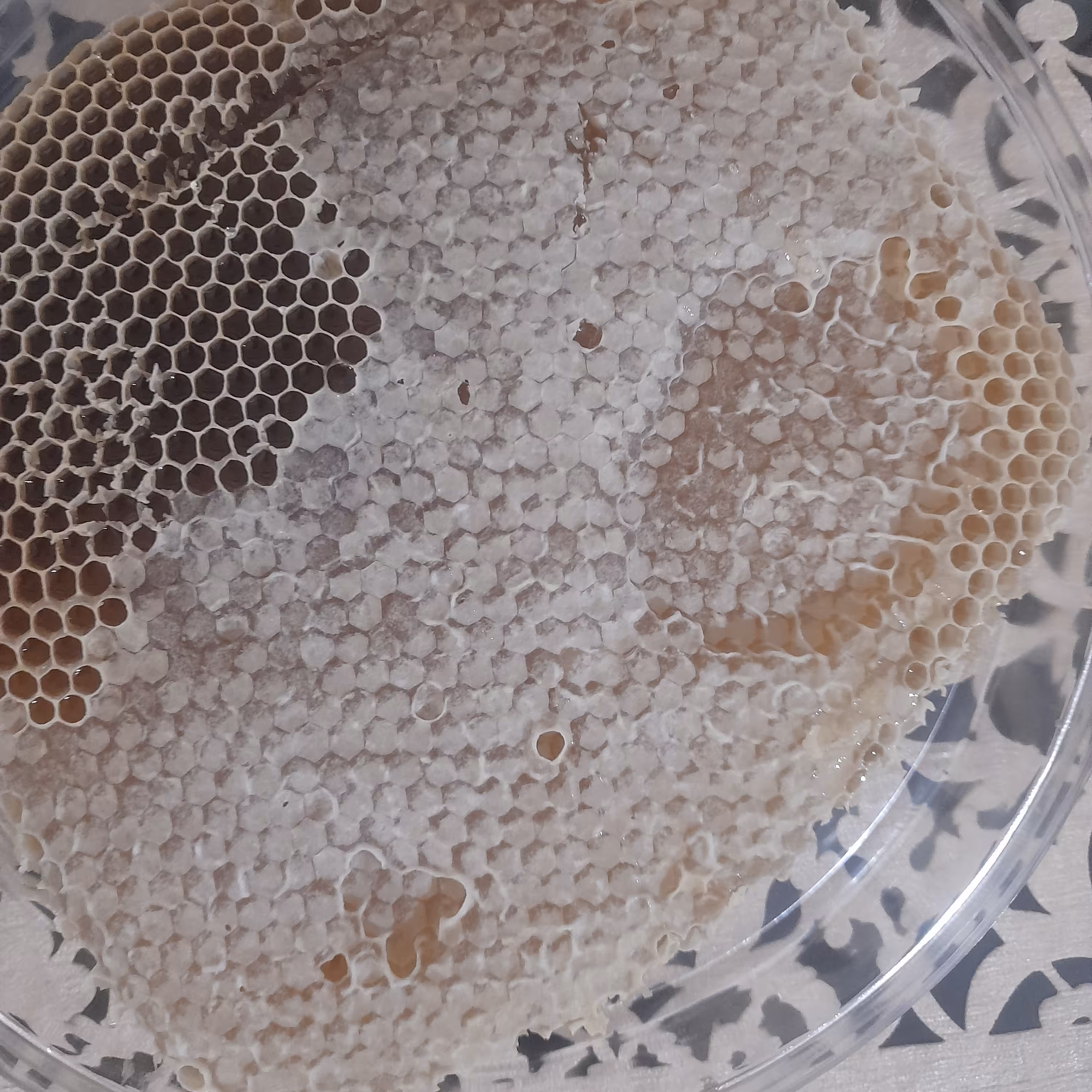 عسل با موم پر طرف دار و خوشمزه چالدران 1 کیلویی مناسب برای صبحانه