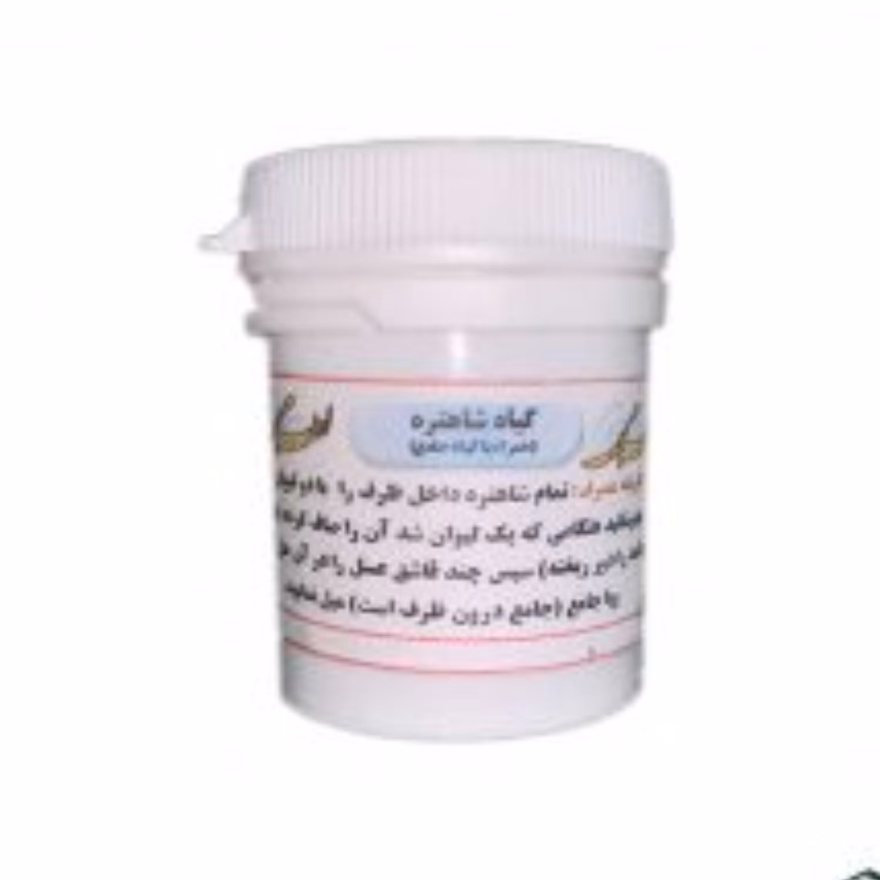 جامع امام رضا با گیاه شاهتره ( لوزه )