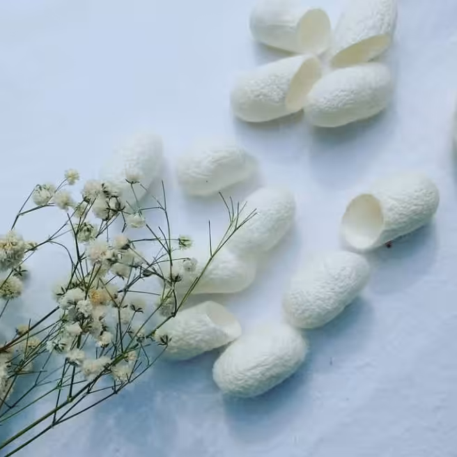 پیله ابریشم 30 عددی 