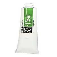 رنگ روغن 120 میل وستا کد 4256 sap green