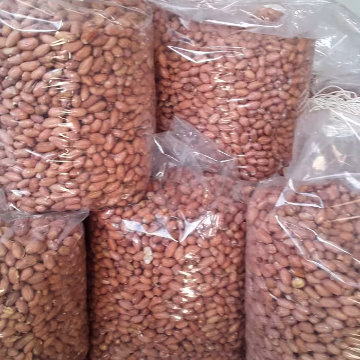 بادام زمینی لوکس استانه اشرفیه درجه یک یک 