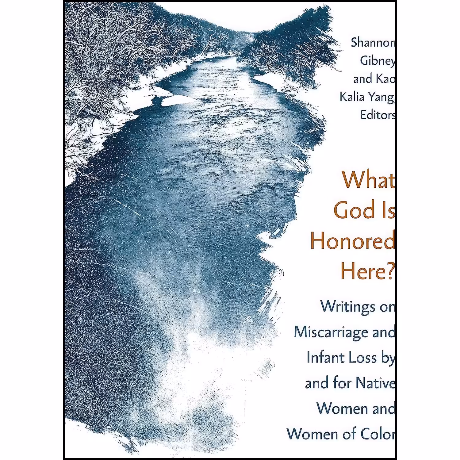 کتاب زبان اصلی What God Is Honored Here اثر Shannon Gibney and Kao Kalia Yang