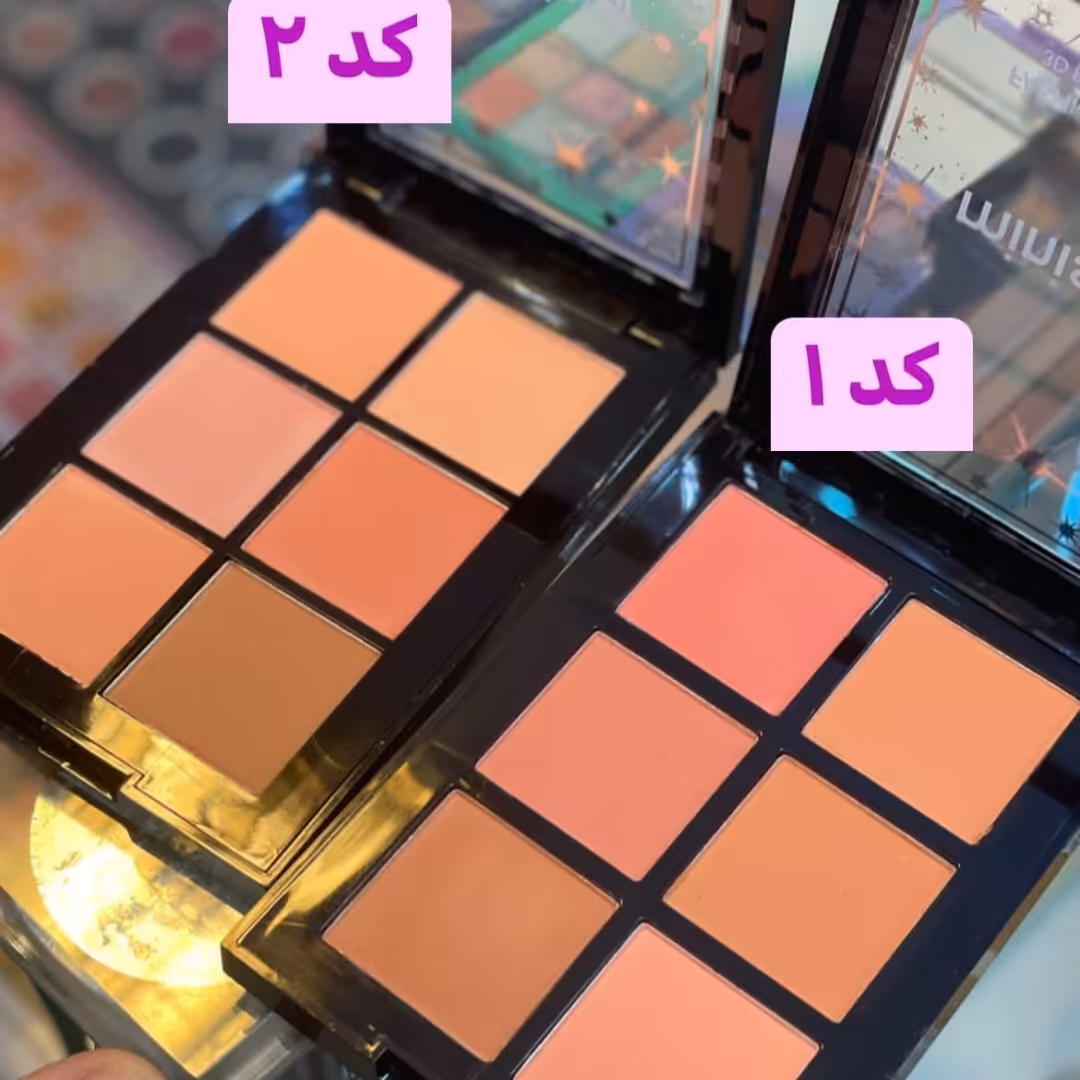 رژ گونه پالتی