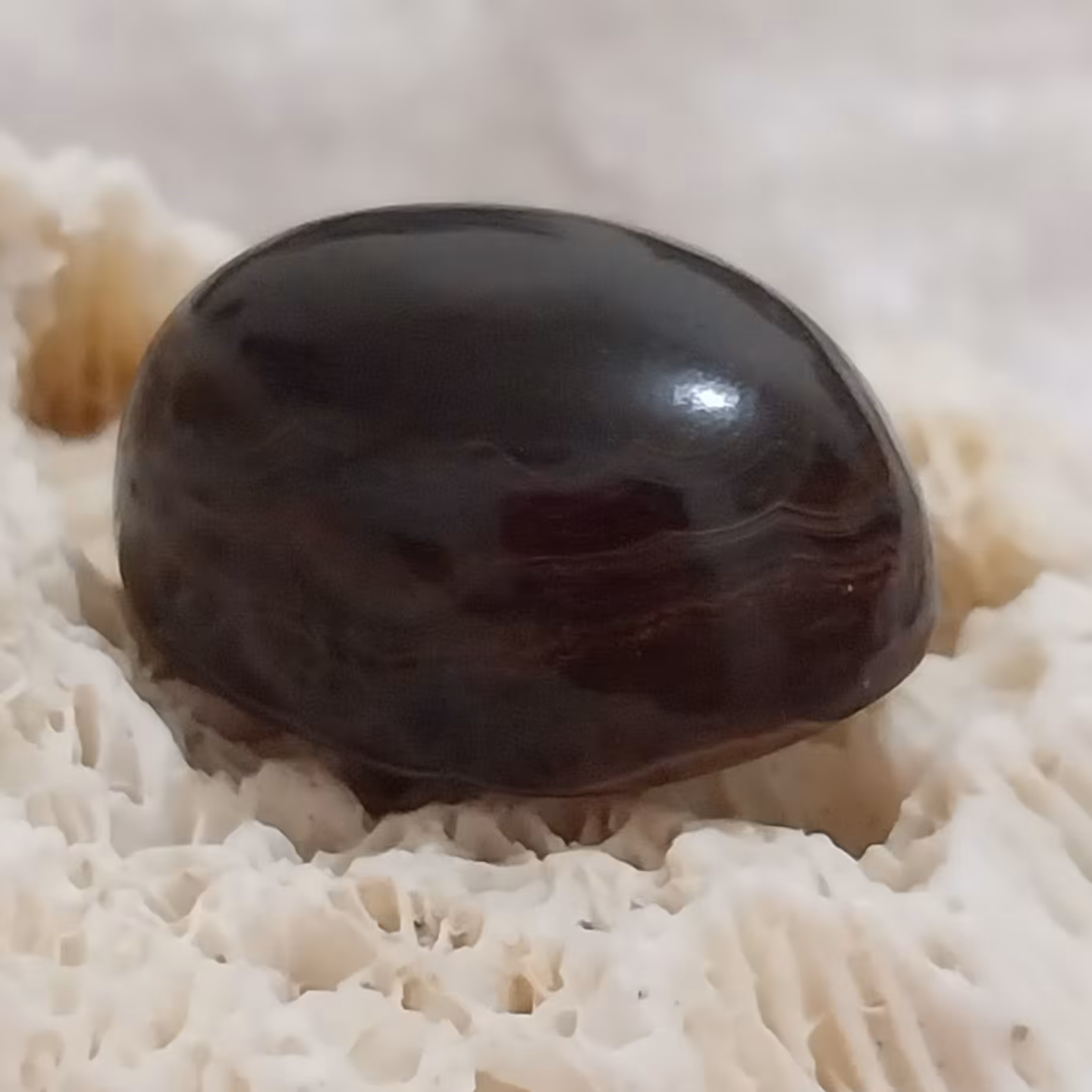 باباقوری دو چشم بینظیر