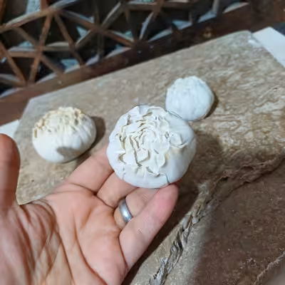 بیس خام گل پبونی متوسط