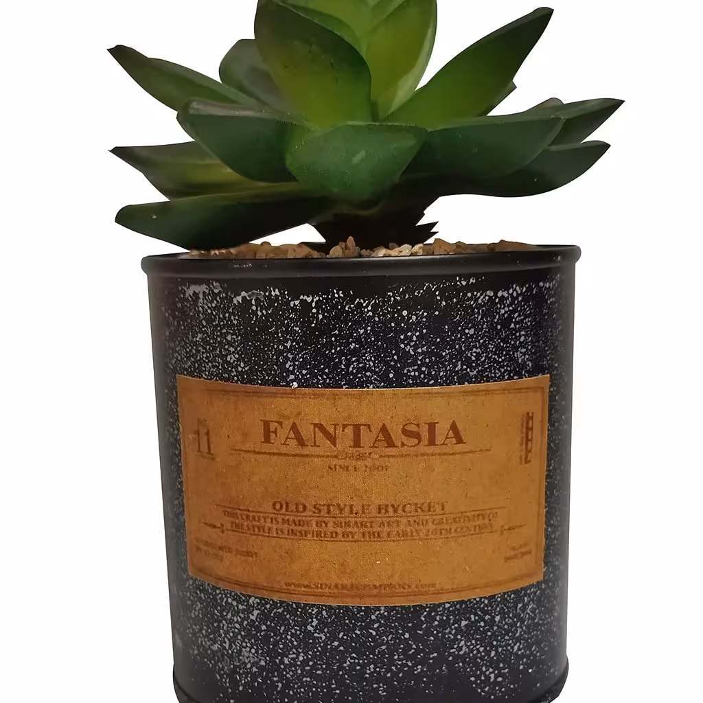 گلدان قوطی فلزی کاکتوس کد 45201