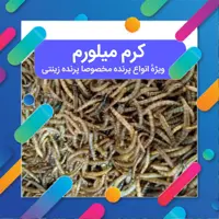  کرم میلورم 40 گرمی  منبع غنی پروتئین برای پرنده مخصوصا پرنده زینتی میل ورم 