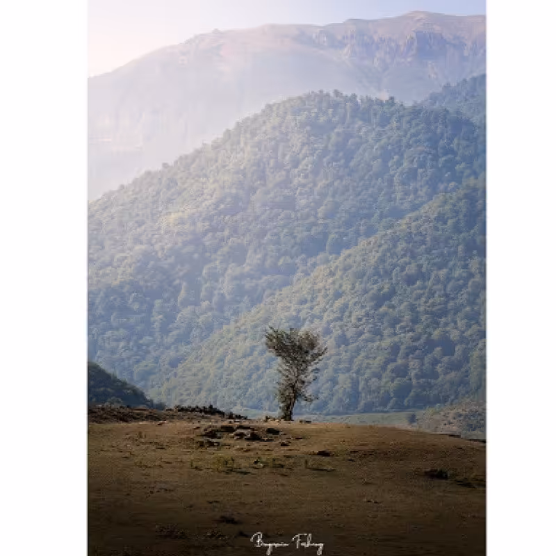 	 تابلو شاسی کد benpics-0007 (ابعاد 40x60 - شاسی 8 میل-کاغذ سیلک-اصالت تصویر)